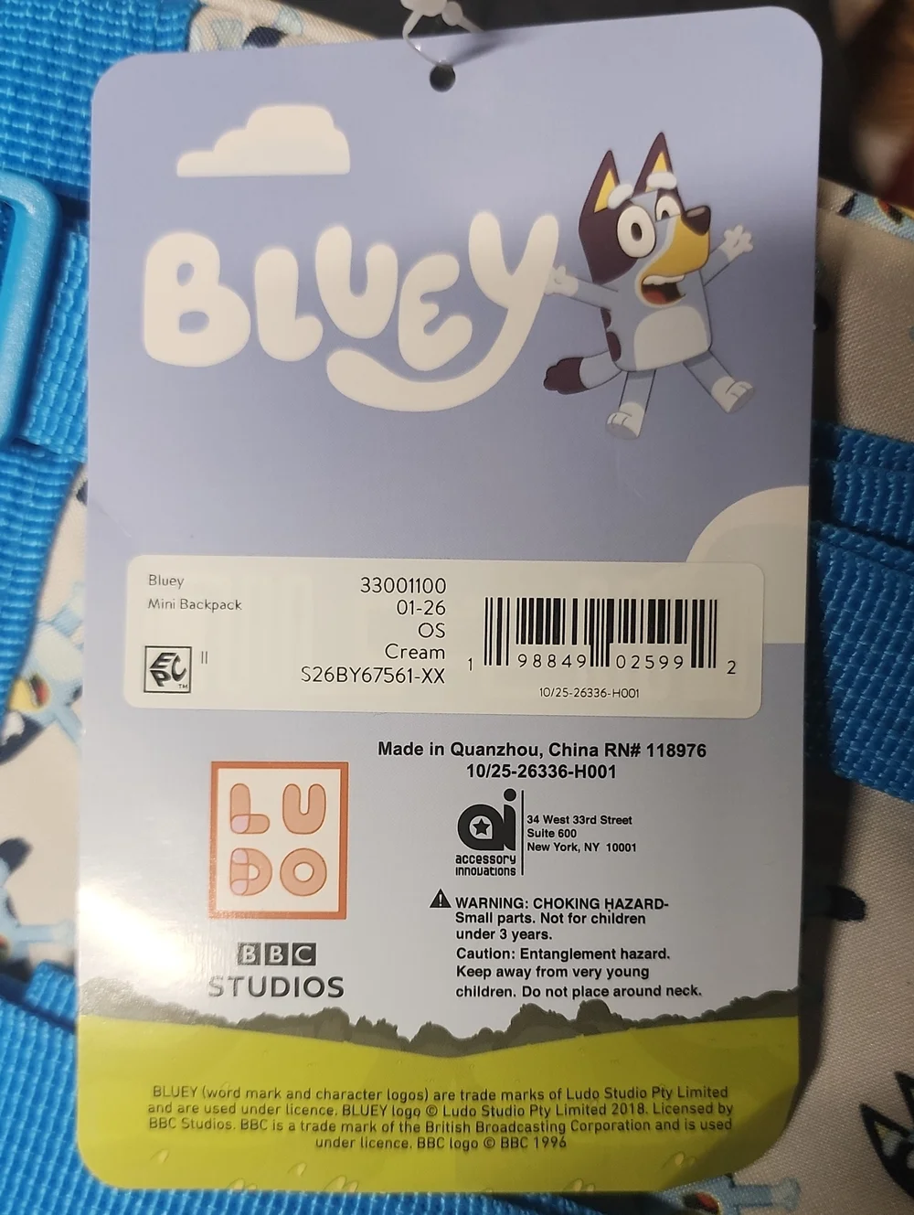 Bluey And Bingo 9